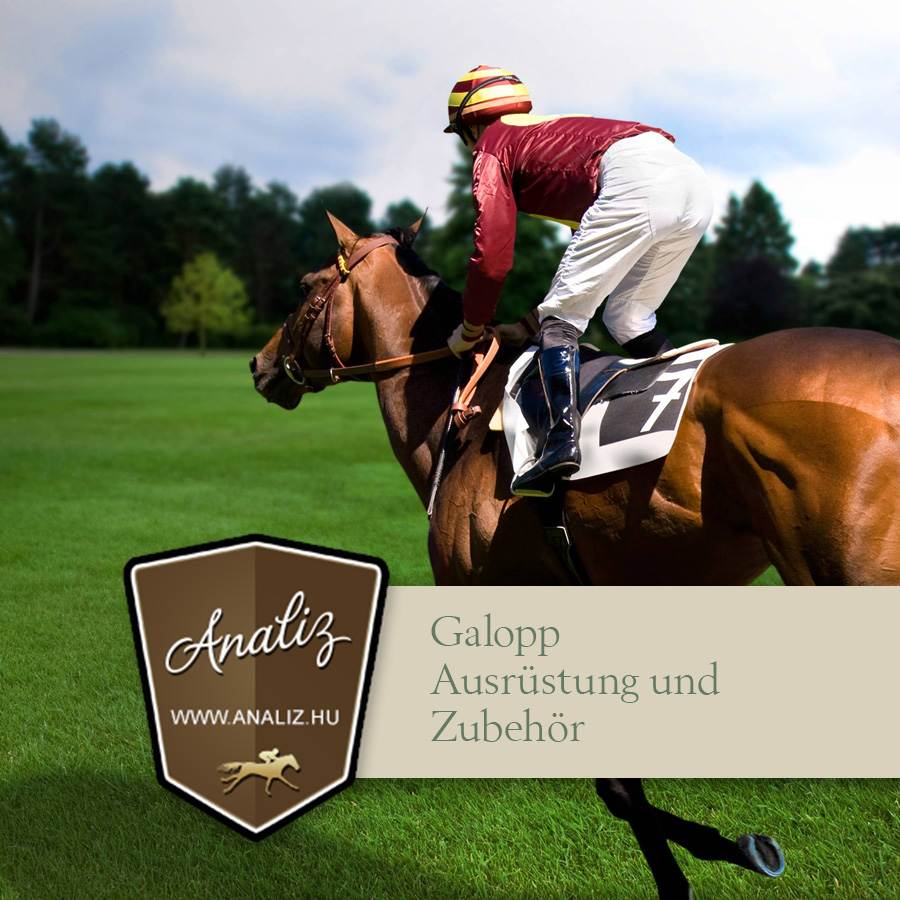 Galopp Ausrüstung und Zubehör